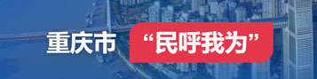 重庆市互联网+督查